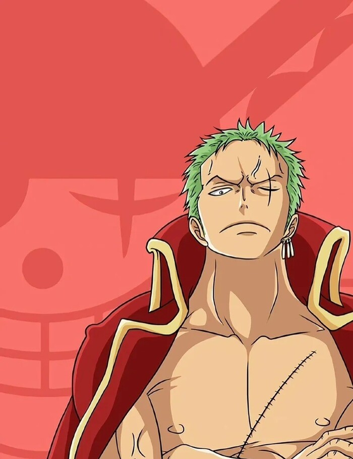 ảnh zoro bình thường