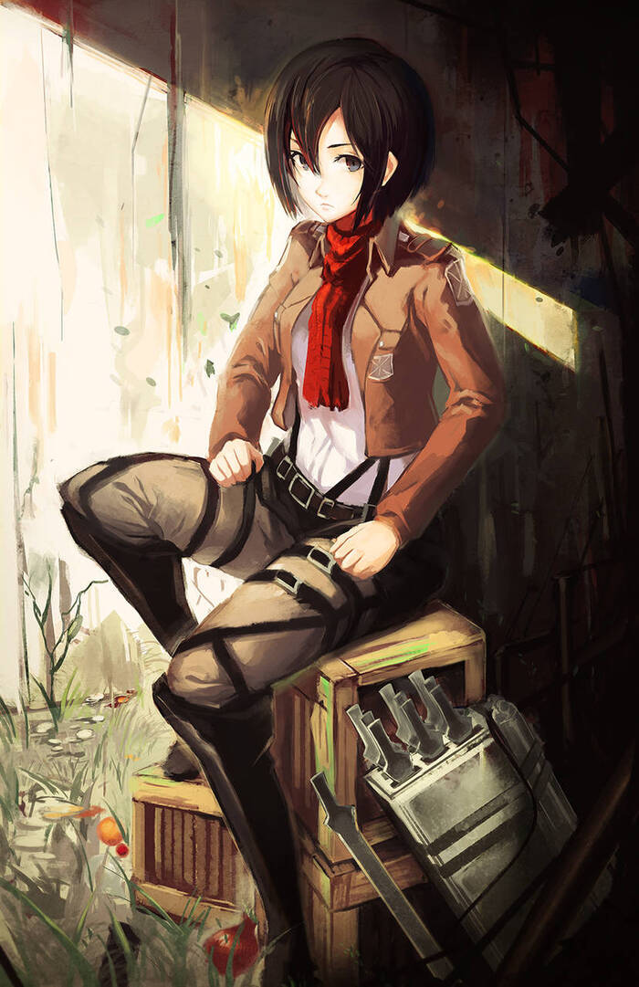 mikasa ackerman eren