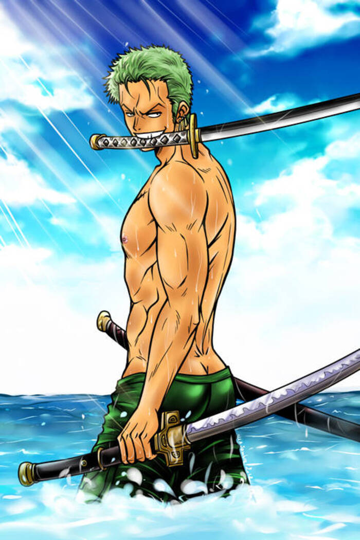 one piece zoro fights