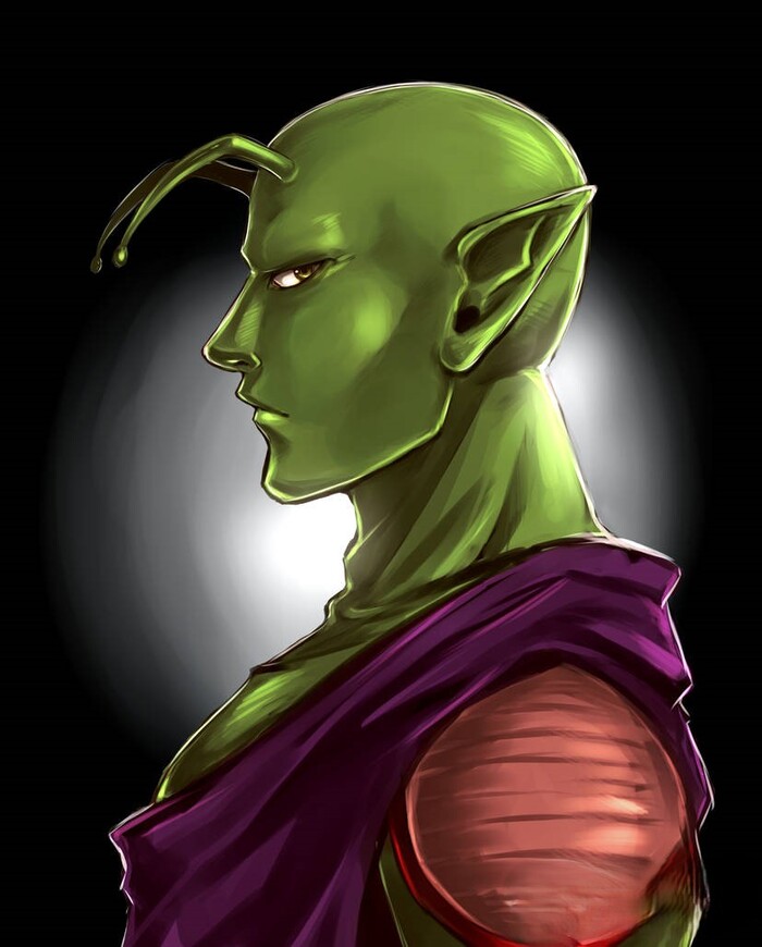 Piccolo suy