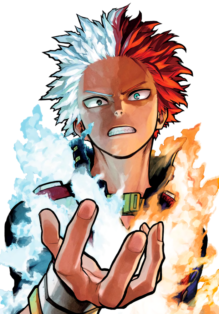 bức ảnh Shoto Todoroki
