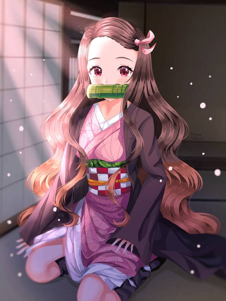 demon slayer nezuko in the box