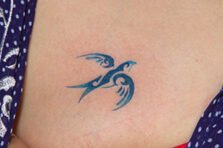 Tuyển tập 200+ hình xăm con chim 4k phong thuỷ may mắn