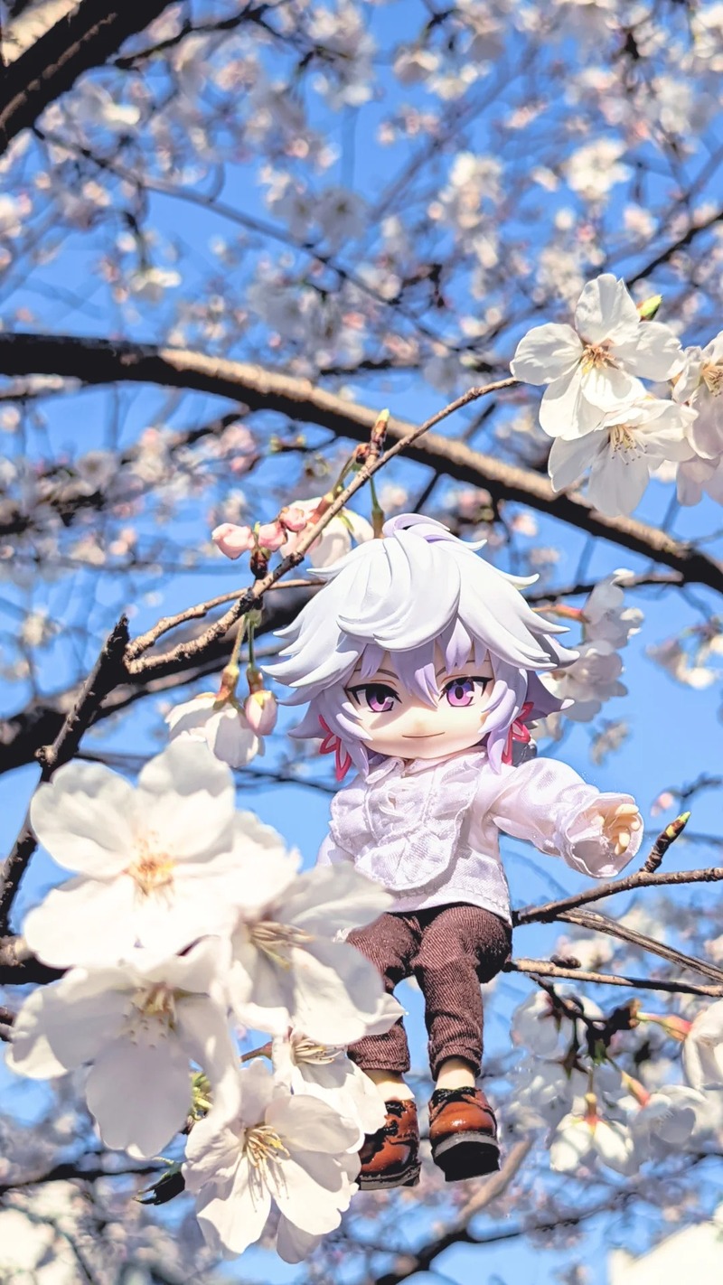ảnh Merlin mô hình
