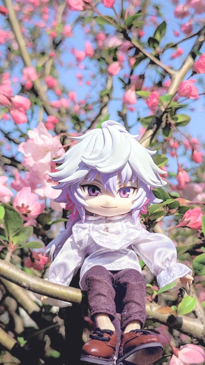 mô hình Merlin