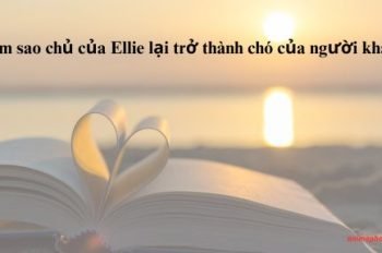 Làm sao chủ của Ellie lại trở thành chó của người khác?