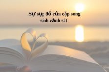 Sự sụp đổ của cặp song sinh cảnh sát