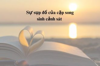 Sự sụp đổ của cặp song sinh cảnh sát