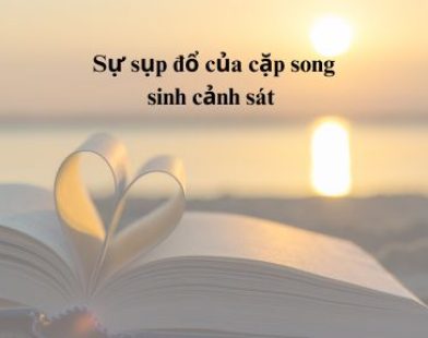 Sự sụp đổ của cặp song sinh cảnh sát