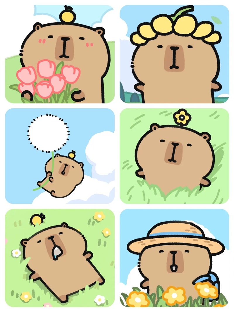 capybara chibi sticker hài hước