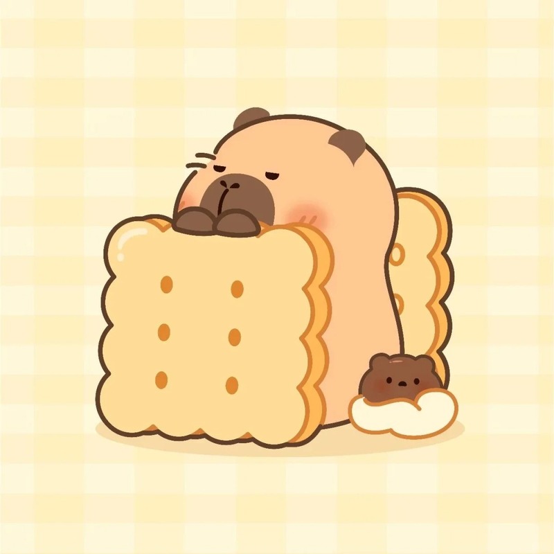 hình capybara chibi anime