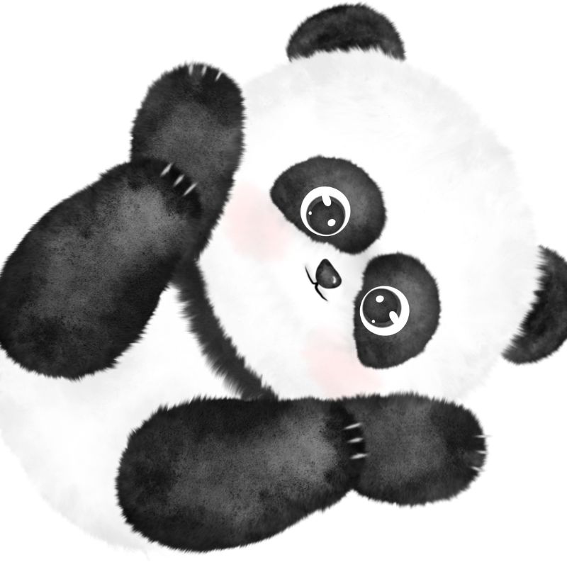hình gấu trúc chibi cute hd