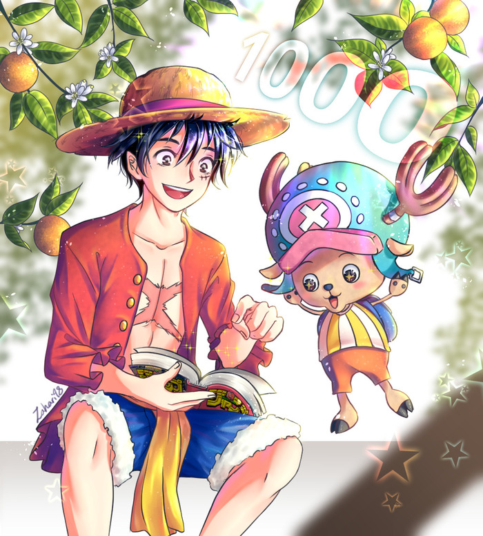 hình luffy