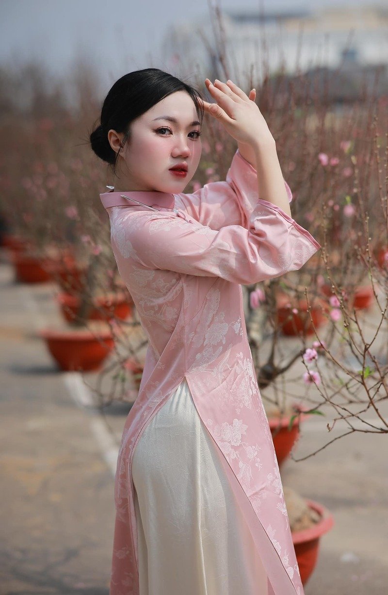 ảnh đỗ trà my áo dài