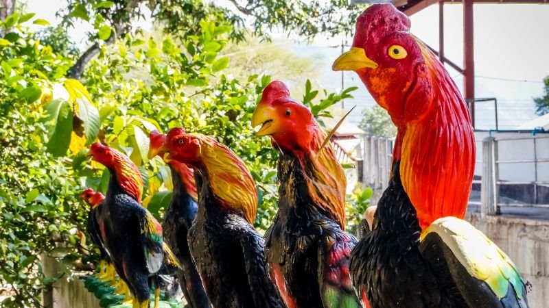 Các loại kèo thường gặp