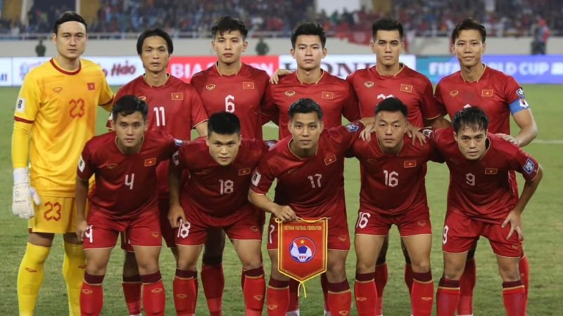 Vai trò tại đội tuyển quốc gia
