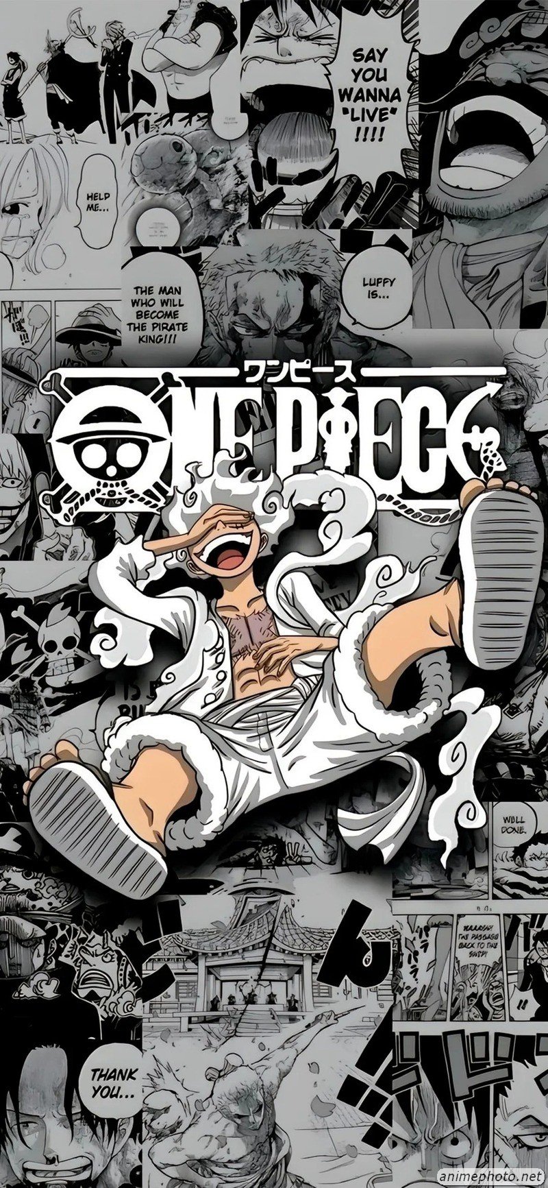 hình nền anime Luffy 15