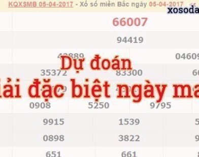 Cầu lô rơi từ giải đặc biệt miền Bắc – Bí quyết, Phân tích và Dự đoán chính xác