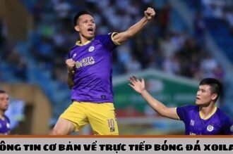 Xoilac – Nền tảng trực tiếp bóng đá sở hữu chất lượng vượt trội