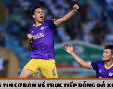 Xoilac – Nền tảng trực tiếp bóng đá sở hữu chất lượng vượt trội