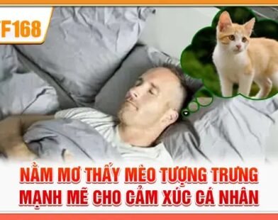 Nằm Mơ Thấy Mèo Tượng Trưng Mạnh Mẽ Cho Cảm Xúc Cá Nhân