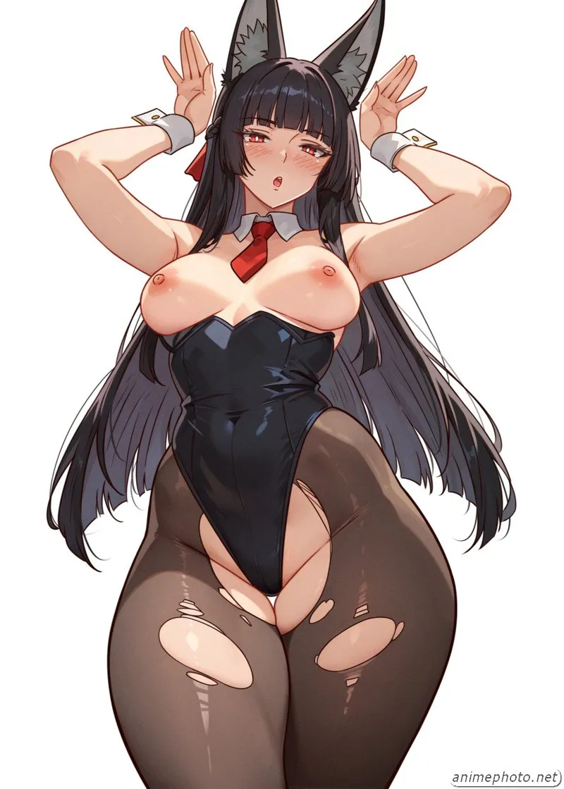 hentai ko che anime