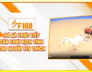 Đá Gà Trực Tiếp – Sân Chơi Kịch Tính Cho Người Yêu Thích