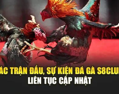 Đá gà S8club – Sân chơi đá gà trực tuyến uy tín nhất