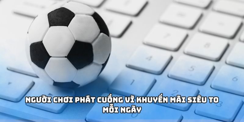 sunwin (2)
