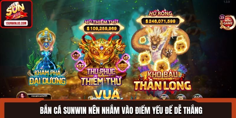 kinh-nghiem-choi-ban-ca-sunwin-tu-nguoi-choi-lau-nam