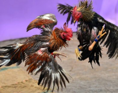 Bí quyết tận dụng khuyến mãi TG88 để tăng cơ hội thắng