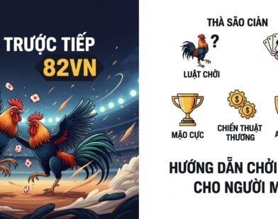 Đá Gà Trực Tiếp 82VN – Hướng Dẫn Chi Tiết Từ A-Z Cho Người Mới (Cập nhật 2025)