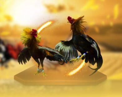 Đá Gà Trực Tiếp Thomo Sân Chơi Hấp Dẫn Hàng Đầu Đông Nam Á