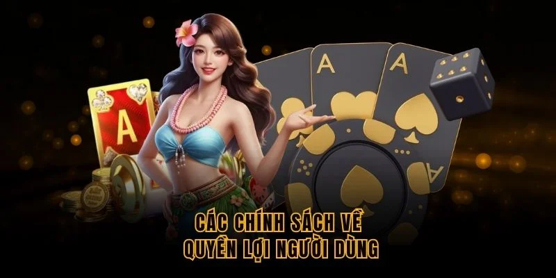 cac-chinh-sach-ve-quyen-loi-nguoi-dung