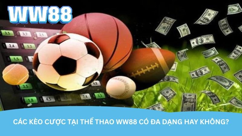 cac-keo-cuoc-tai-the-thao-ww88-co-da-dang-hay-khong