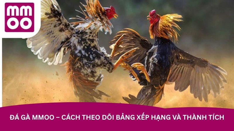 da-ga-mmoo-cach-theo-doi-bang-xep-hang-va-thanh-tich