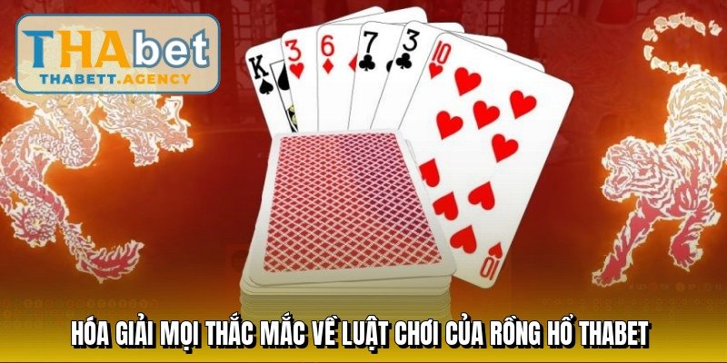 hoa-giai-moi-thac-mac-ve-luat-choi-cua-rong-ho-thabet