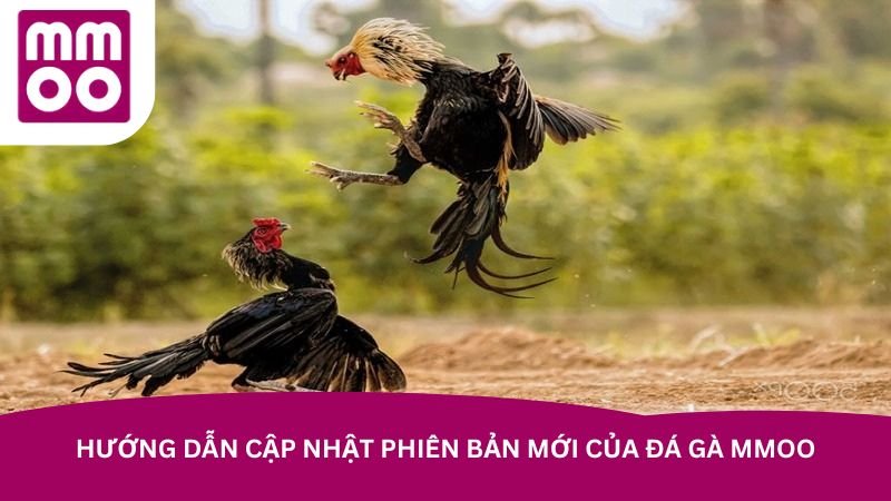 huong-dan-cap-nhat-phien-ban-moi-cua-da-ga-mmoo