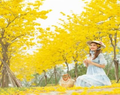 Tìm Hiểu Ảnh Du Lịch Và Sức Hút Đặc Biệt Của Thể Loại Này