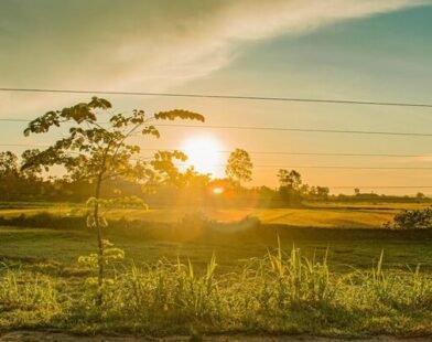 Ảnh Ánh Hoàng Hôn – Sự Lôi Cuốn Từ Khoảnh Khắc Cuối Ngày