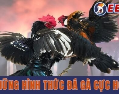 Đá gà EE88 – Cổng game đá gà trực tuyến đỉnh cao với hình ảnh sắc nét
