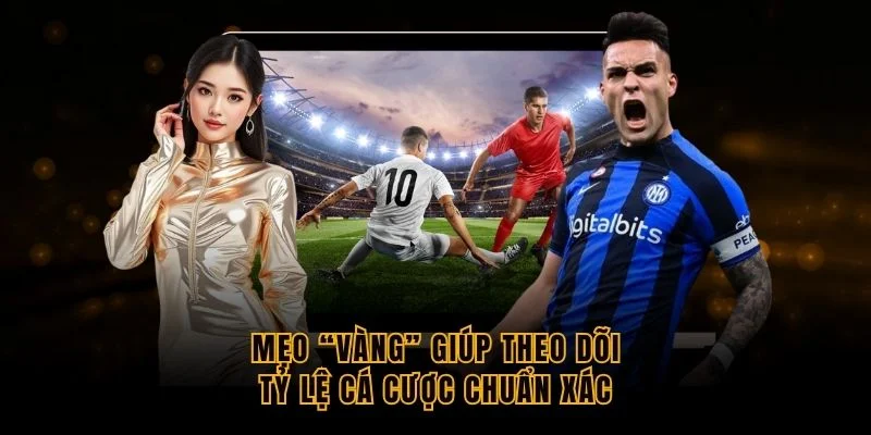 meo-vang-giup-theo-doi-ty-le-ca-cuoc-chuan-xac