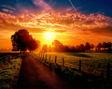 Ảnh Ngược Sáng – Vẻ Đẹp Đối Lập Trong Nghệ Thuật Nhiếp Ảnh