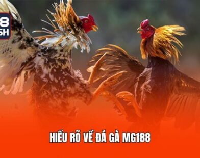 Đá Gà MG188 – Chuyên Mục Cá Cược Đáng Trải Nghiệm Nhất 2026