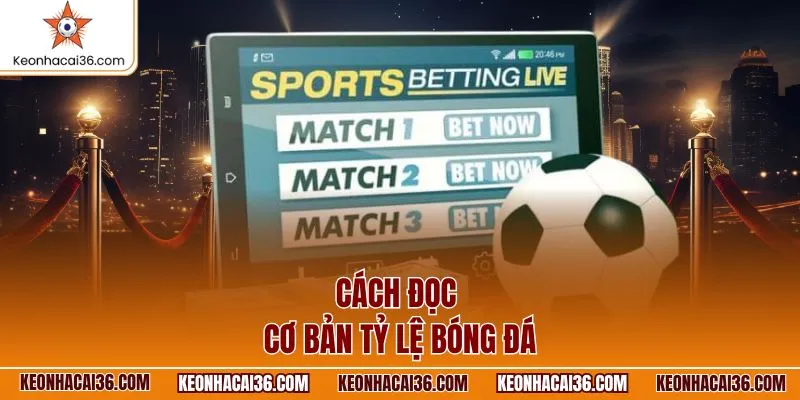 cach-doc-co-ban-ty-le-bong-da