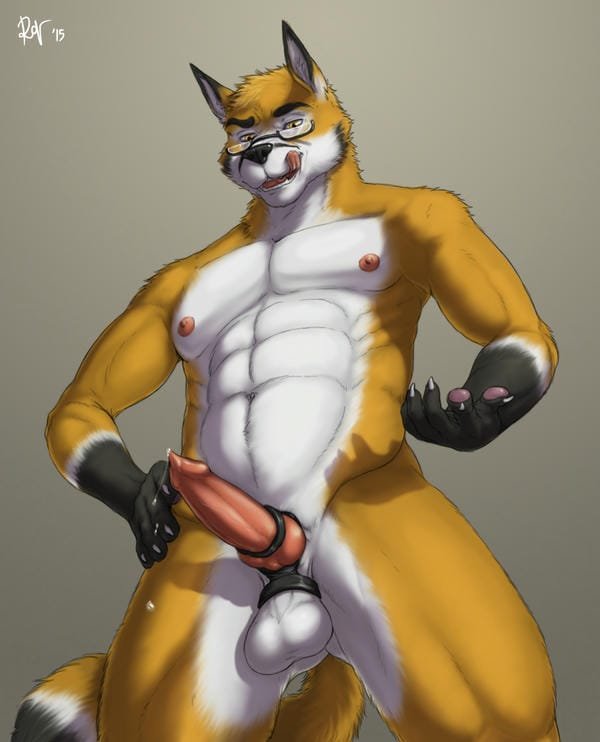 ảnh sex động vật (1)