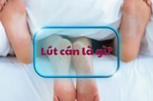 Lút Cán Là Gì? Giải Mã Ý Nghĩa Dân Gian Đầy Bất Ngờ 478