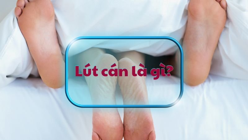 Lút cán là gì